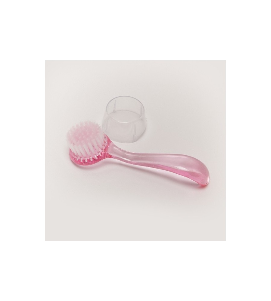 Brosse de Dépoussiérage Rose