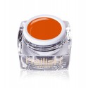 Gel UV/LED Color Nailish Orange Ellegance